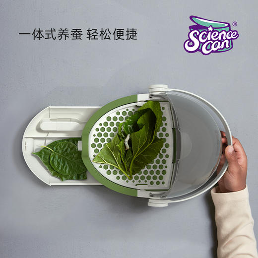 科学罐头 蚕宝宝养育舱(让养蚕也仪式感满满)送桑叶送蚕宝宝 商品图7