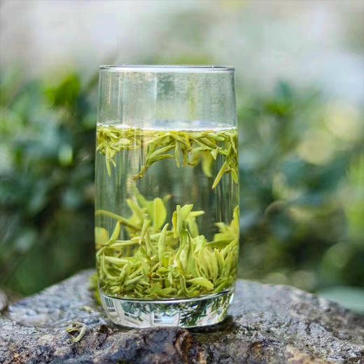 醒世茶业丨醒世小碧螺 乌蒙甘露 早春绿茶 四川绿茶 明前特级 50g/100g 新旧包装随机发货 商品图1