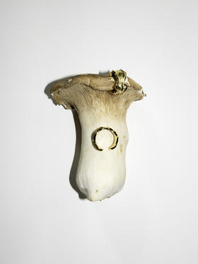 APRESI｜GLINTING Meandering Gemstones Mirrored Ear Cuffs [波纹耳骨夹]