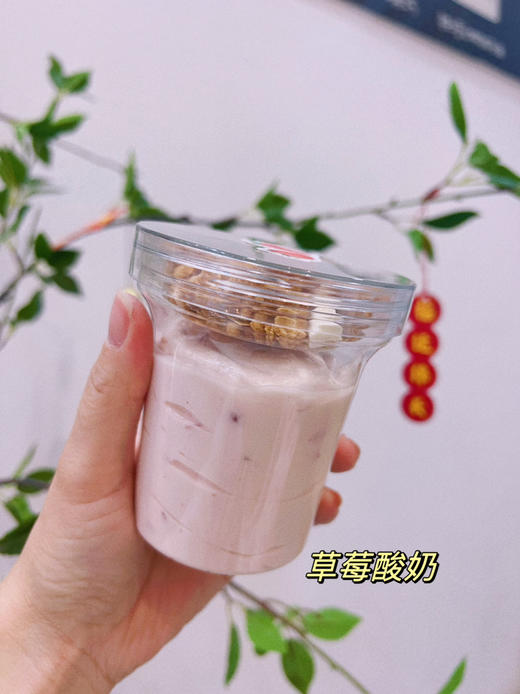 手工冷萃酸奶 商品图5