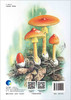云南/大型真菌/野生菌/蘑菇/蘑菇中毒/生物多样性保护/杨祝良/国家科学技术学术著作出版基金/云南野生菌识别和鉴定的工具书/科普 商品缩略图1