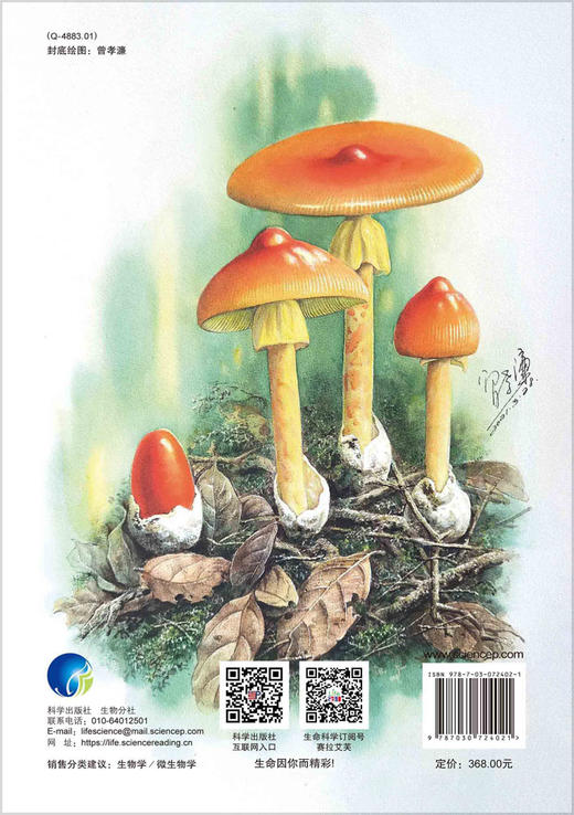 云南/大型真菌/野生菌/蘑菇/蘑菇中毒/生物多样性保护/杨祝良/国家科学技术学术著作出版基金/云南野生菌识别和鉴定的工具书/科普 商品图1