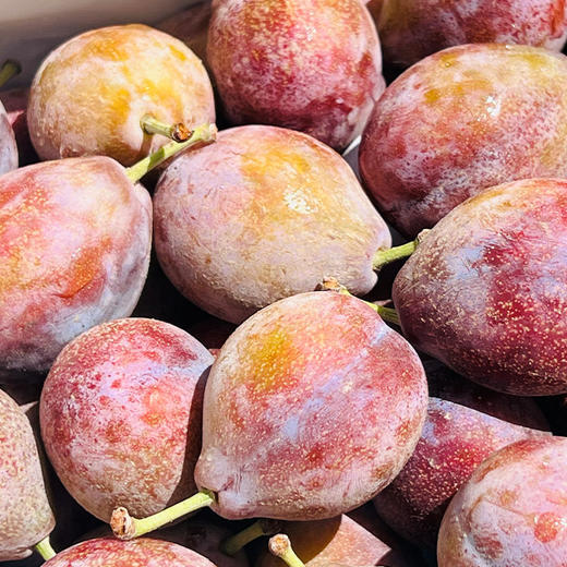 🌹智利海运西梅，颗粒大而饱满，浅玫紫色，沉甸甸的很硬实，咬上去脆爽绵滑，金黄色果肉甜美鲜活，沙甜～～😋😋 商品图3