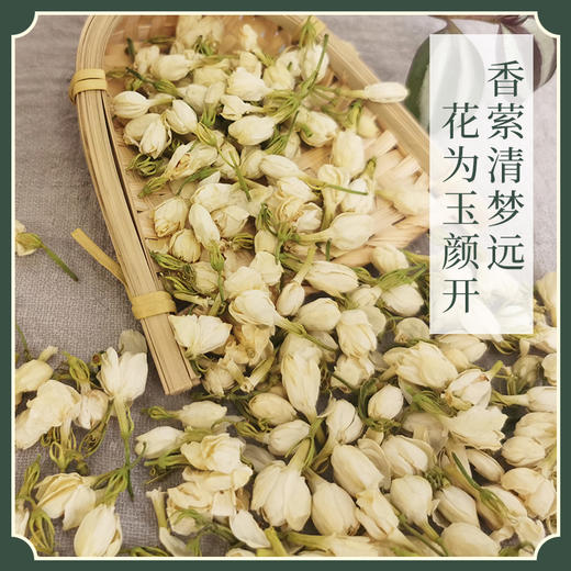 手工净选 茉莉花蕾 不熏硫 道地产地 孕妇备货 商品图0