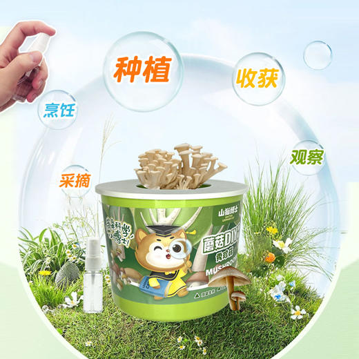 山猫博士DIY可食用秀珍菇种植桶（2桶） 商品图1