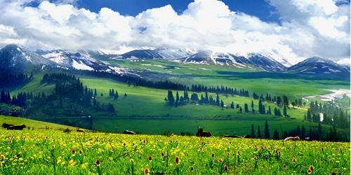 【长者漫游】￥4680/人起-疆行万里新疆双卧20日跟团游套餐（承诺往返中下铺+0自费+南北深度游） 商品图5