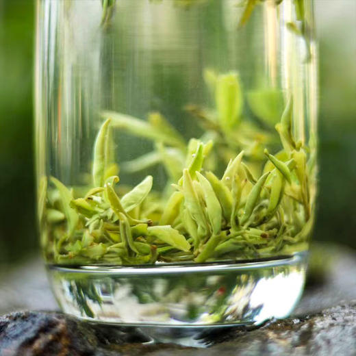 醒世茶业丨醒世小碧螺 乌蒙甘露 早春绿茶 四川绿茶 明前特级 50g/100g 新旧包装随机发货 商品图2