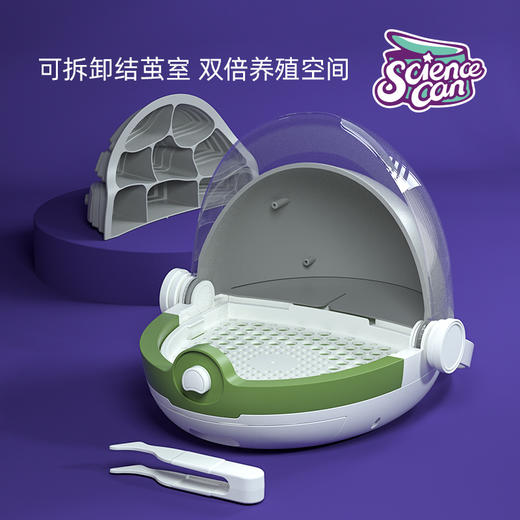 科学罐头 蚕宝宝养育舱(让养蚕也仪式感满满)送桑叶送蚕宝宝 商品图6