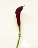 APRESI｜GLINTING Small Meandering Gemstones Mirrored Earrings [波纹小耳环] 商品缩略图1