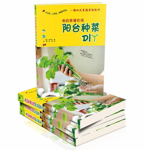 我的幸福农场：阳台种菜DIY 商品图3