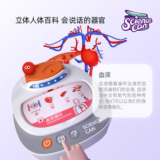 科学罐头 我们的身体语言百科真实比例的立体模型，可拆可装 商品图3