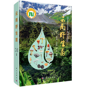 云南/大型真菌/野生菌/蘑菇/蘑菇中毒/生物多样性保护/杨祝良/国家科学技术学术著作出版基金/云南野生菌识别和鉴定的工具书/科普