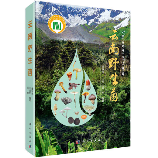 云南/大型真菌/野生菌/蘑菇/蘑菇中毒/生物多样性保护/杨祝良/国家科学技术学术著作出版基金/云南野生菌识别和鉴定的工具书/科普 商品图0