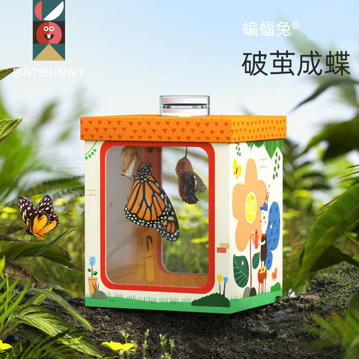 【小小生物学家 培养观察力】蝙蝠兔儿童昆虫观察器蝴蝶多功能益智养殖舱小学生自然科学实验套装玩具 商品图0