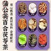 蒲公英百合散结茶百合茯苓散结茶源自古法合理配比散结茶 商品缩略图1