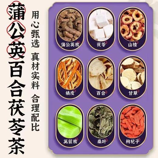 蒲公英百合散结茶百合茯苓散结茶源自古法合理配比散结茶 商品图1