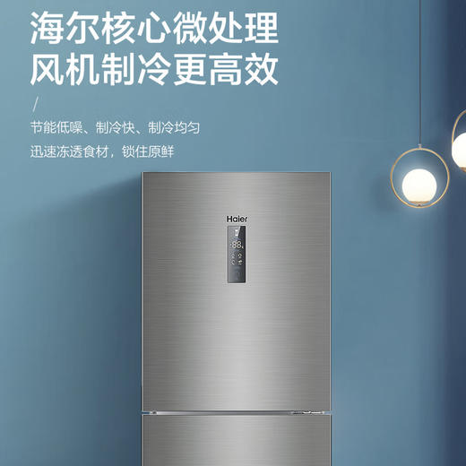 海尔（Haier）冰箱BCD-218WDPD 商品图12
