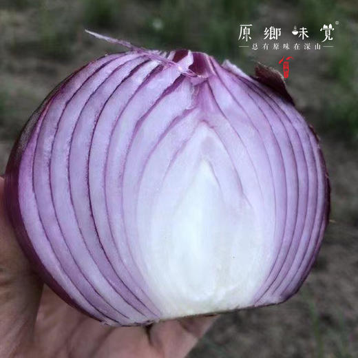 有机紫洋葱（基地直发-京东快递）  |  5斤大小混装，来自河北张家口，生产者：李鹏飞，【合作生产，公平贸易】 商品图3