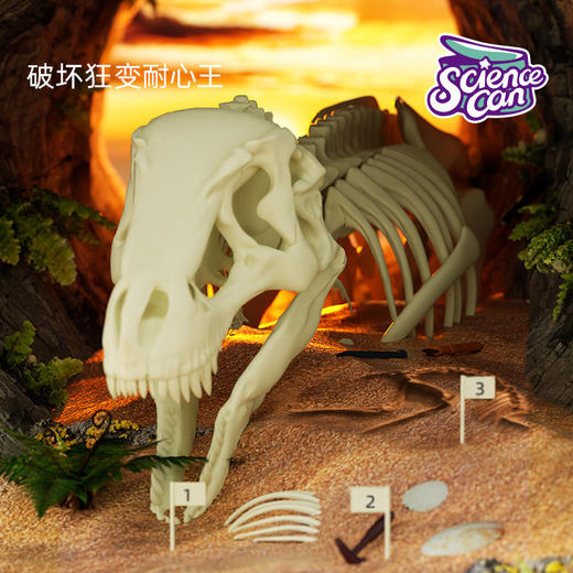 科学罐头 恐龙化石挖掘套装（国际版） 商品图1