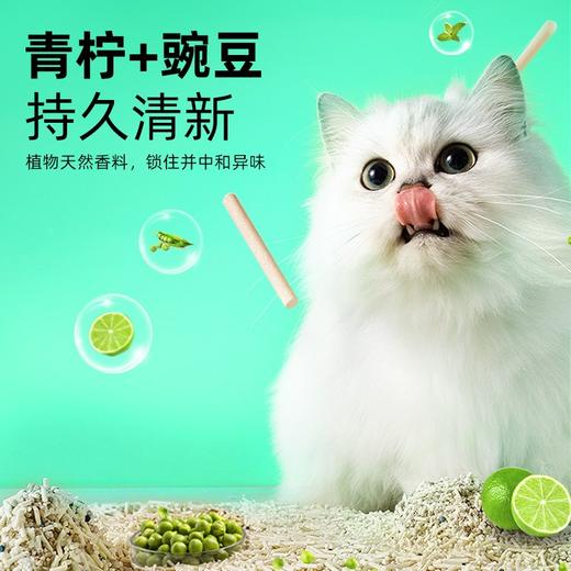 kojima丝兰混合猫砂青柠味 商品图1