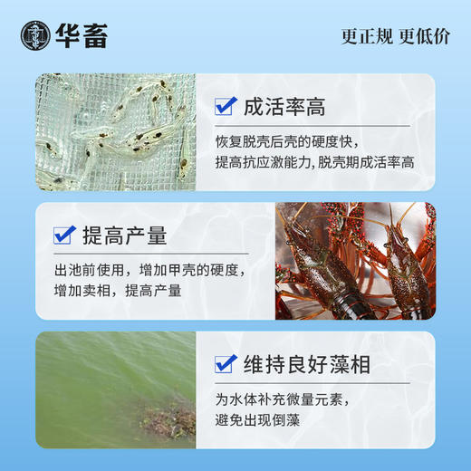 华畜脱壳素500g 可溶性钙脱壳硬壳快 补充钙磷镁等微量元素 商品图5