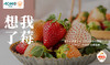 【外运冷链】ACME愛顆莓礼盒装 三色草莓 1000g（9~15颗/盒*4盒） 商品缩略图2