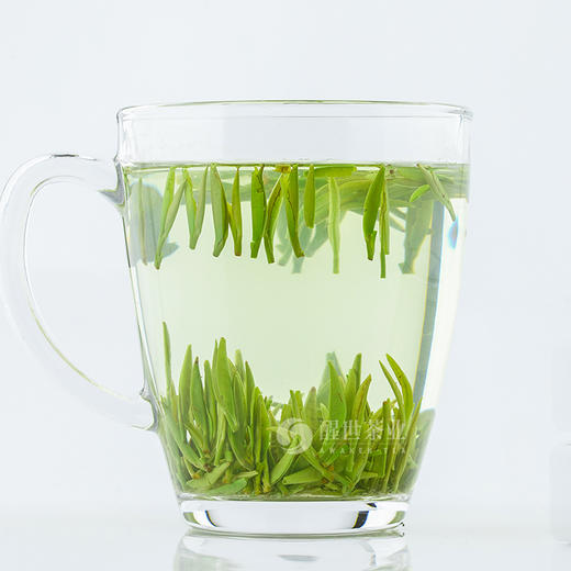 醒世茶业丨小龙芽 宜宾早茶 四川绿茶 明前特级 50g/100g 商品图3