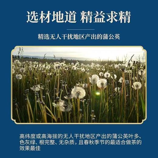 蒲公英百合散结茶百合茯苓散结茶源自古法合理配比散结茶 商品图4