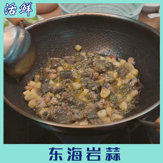 东海岩蒜 商品图5