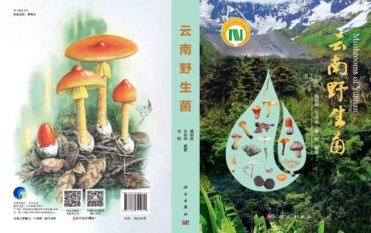云南/大型真菌/野生菌/蘑菇/蘑菇中毒/生物多样性保护/杨祝良/国家科学技术学术著作出版基金/云南野生菌识别和鉴定的工具书/科普 商品图2