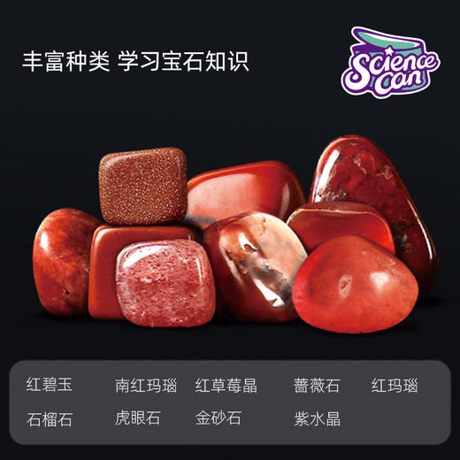 科学罐头 宝石拓展配件包（本品需搭配购买磨石机使用） 商品图11