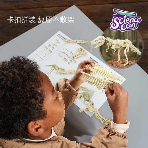 科学罐头 恐龙化石挖掘套装（国际版） 商品图4