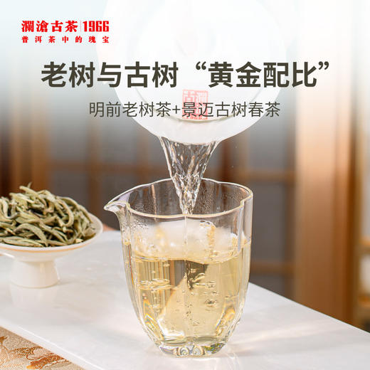 2022年澜沧古茶白玉云针尝鲜装40g 商品图3