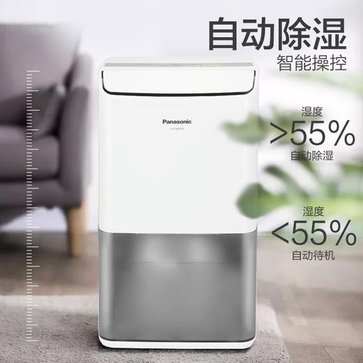 【年底大促  特价机】松下除湿机/抽湿机 家用干衣吸湿器F-C16YCR 商品图0