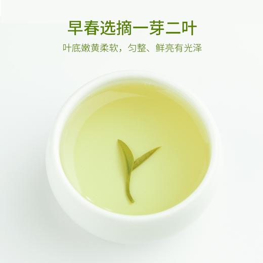 醒世茶业丨高山绿茶 四川高山云雾绿茶 500g（250g*2盒） 商品图5