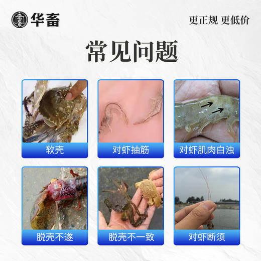 华畜脱壳素500g 可溶性钙脱壳硬壳快 补充钙磷镁等微量元素 商品图1