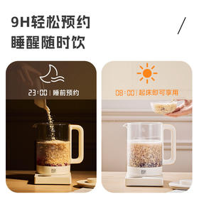 石崎秀儿养生壶家用多功能办公室小型花茶壶烧水杯煮茶壶煮茶器全自动神器