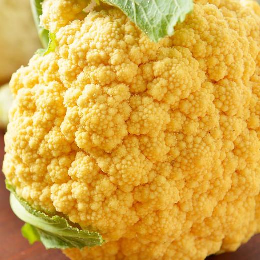 放心橙花菜 约550g/份 商品图1