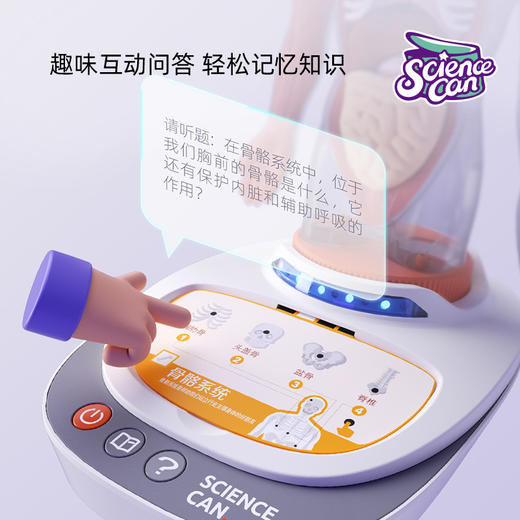 科学罐头 我们的身体语言百科真实比例的立体模型，可拆可装 商品图1