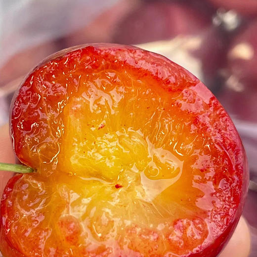 进口樱桃李  约500g/份 商品图3