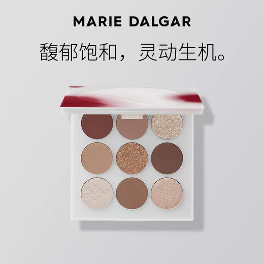 【新品上市】yz玛丽黛佳赤灵九色眼影一盘多用百搭饱和哑光大地色 商品图0