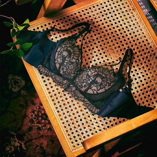 Maxroses蕾丝印画云感棉养护内衣黑色（赠内裤款式随机） 商品图0