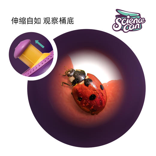 科学罐头 多功能动物观察桶（满足孩子对自然的探索欲望） 商品图1
