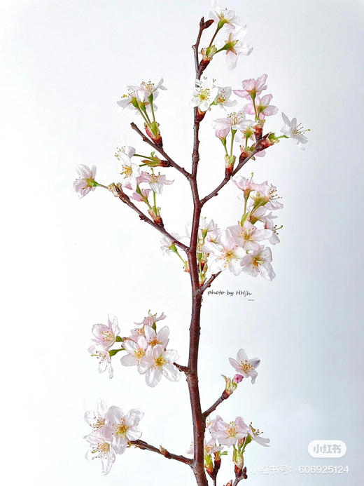 日本花材-【樱花枝】3枝装 商品图2