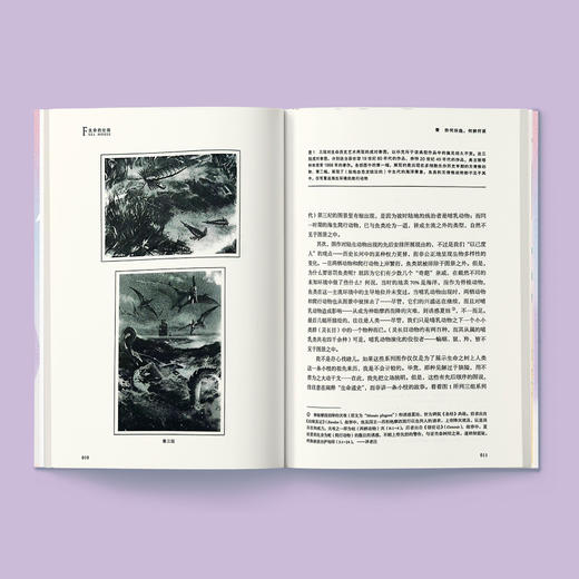 《生命的壮阔》 商品图3