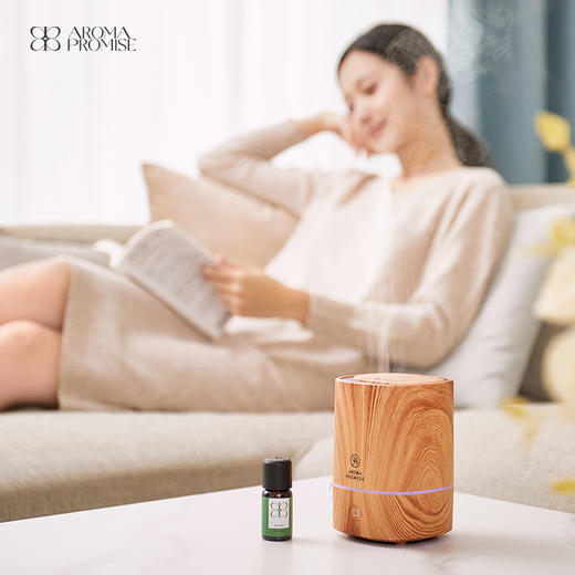 木纹香薰机 精油香薰机 室内扩香 静音加湿 氛围夜灯 商品图1