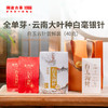 2022年澜沧古茶白玉云针尝鲜装40g 商品缩略图1