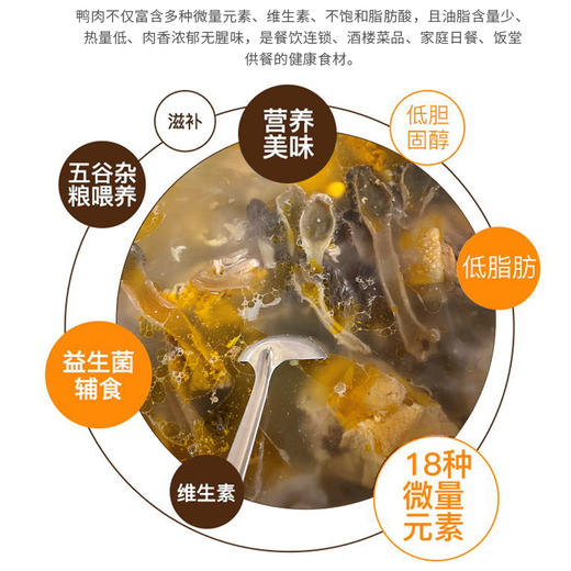 农家老番鸭 商品图5