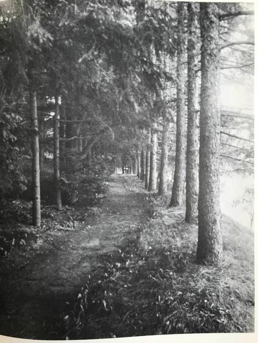 我们的文学遗产：美国作家图史 数百幅插图 精装16开 商品图13