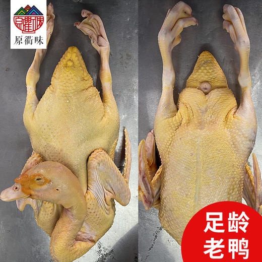 农家老番鸭 商品图4